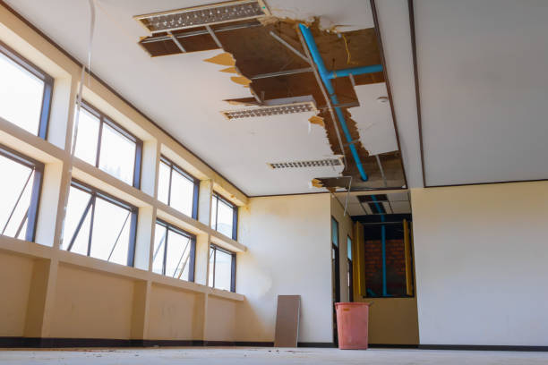 Best Water damage restoration cost  in Freeland, WA