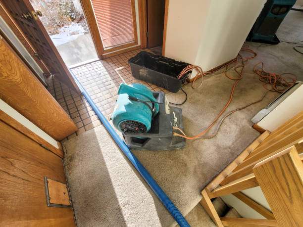 Best 24/7 water damage repair  in Freeland, WA