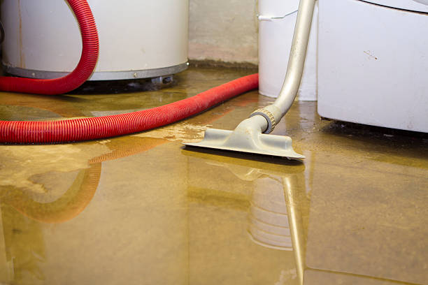 Best Local water damage restoration  in Freeland, WA